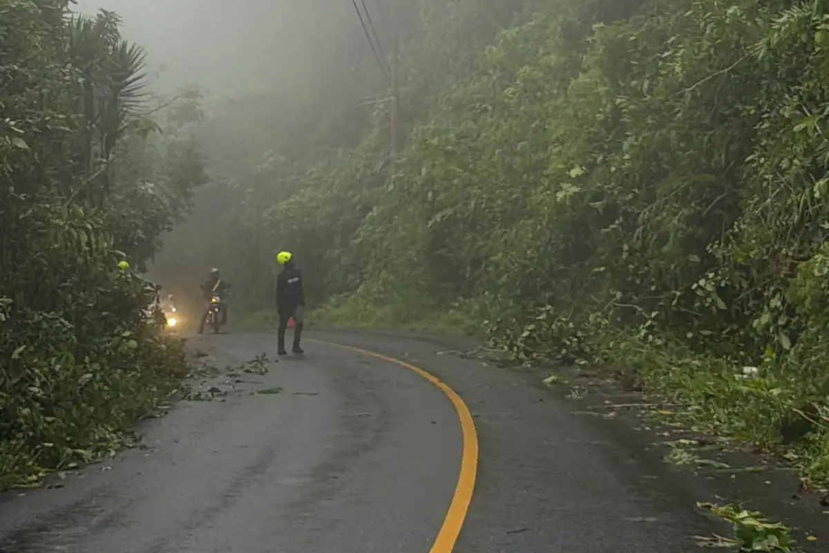 Nebel liegt über einer kurvigen Bergstraße mitten im Regenwald