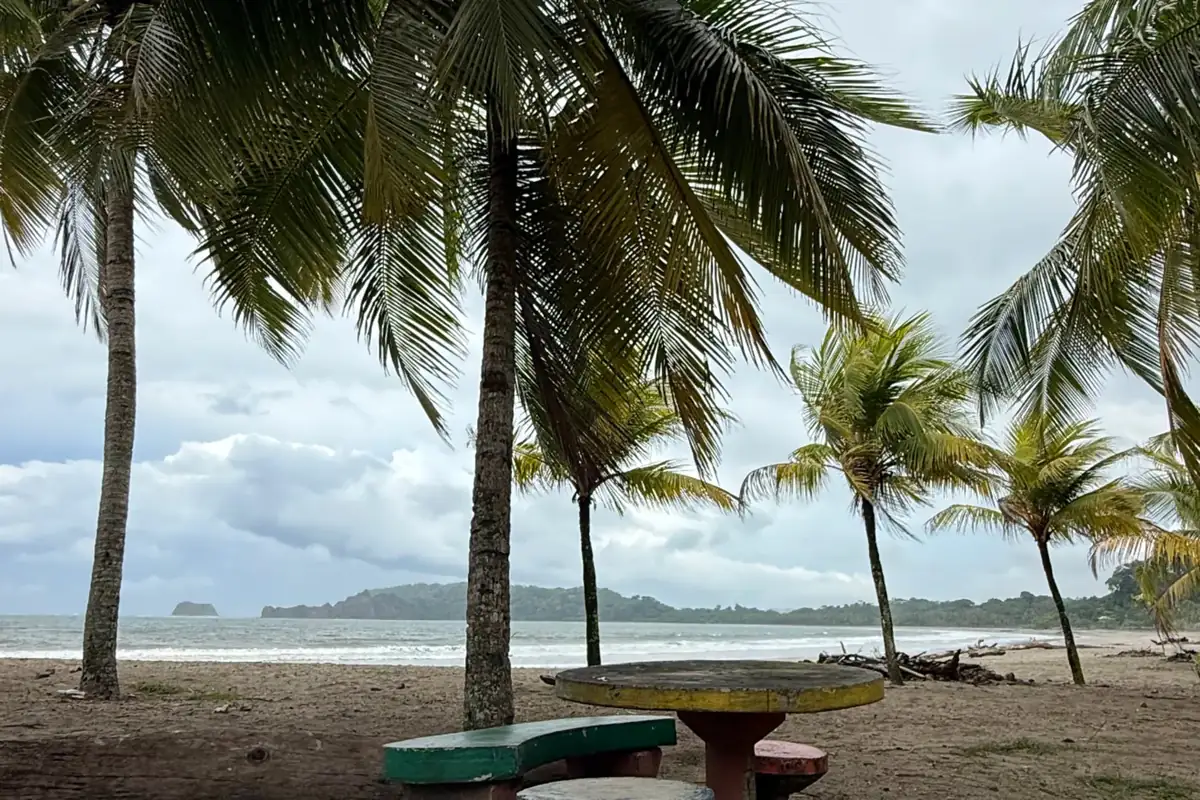 Palmen und bunte Sitzhocker an einem Strand unter bewölktem Himmel